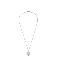 Load image into Gallery viewer, PEAGN0033304_01