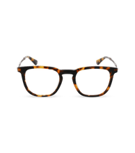 Load image into Gallery viewer, VPLL66 500C10_01
